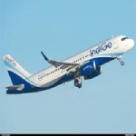 GOINDIGO vouchers